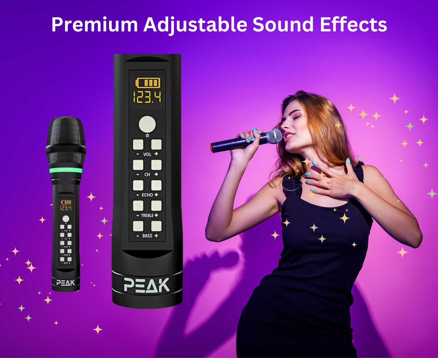 ELITE Premium Stage I System with Echo and EQ- 1200W