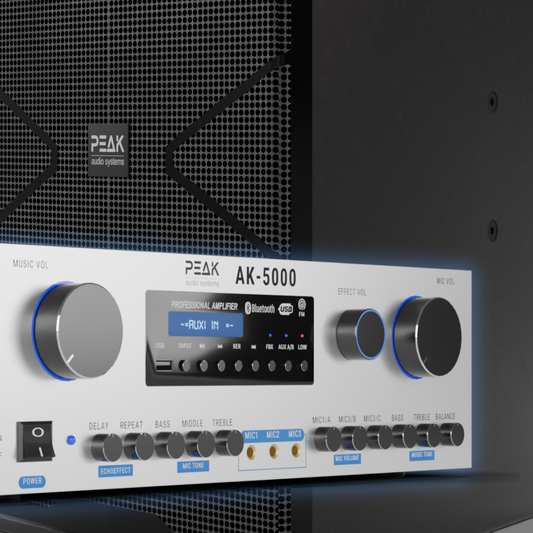 PEAK Karaoke PLATINUM PRO+ MAMMOTH STAGE V System -5000W