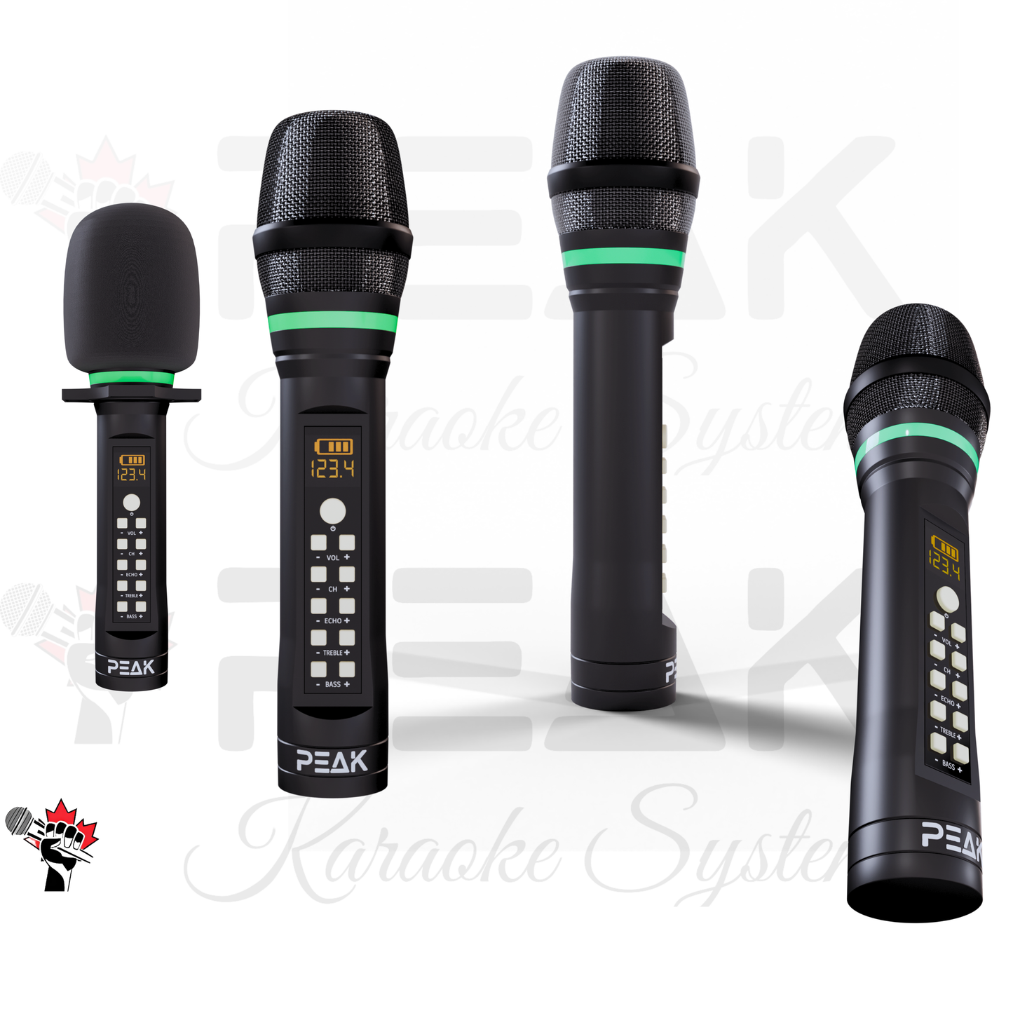 PEAK ONYX Karaoke Bluetooth System w/ 4 PREMIUM Microphones - 5000W