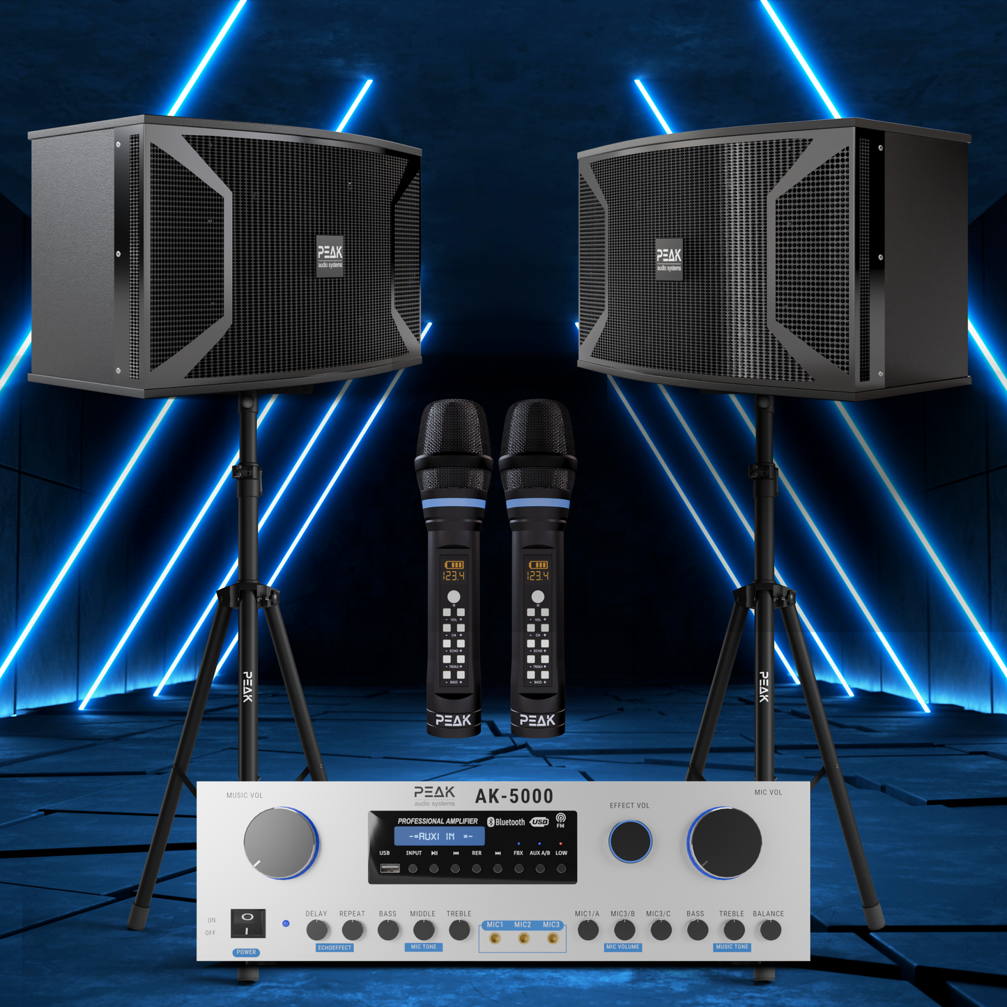 PEAK Karaoke PLATINUM PREMIUM PRESTIGE STAGE III System -4000W