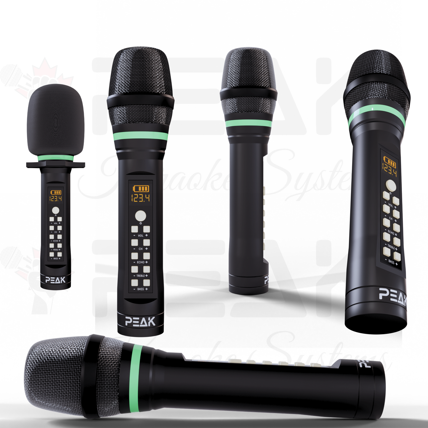 ELITE Premium Stage II Bluetooth Karaoke System - 2000W