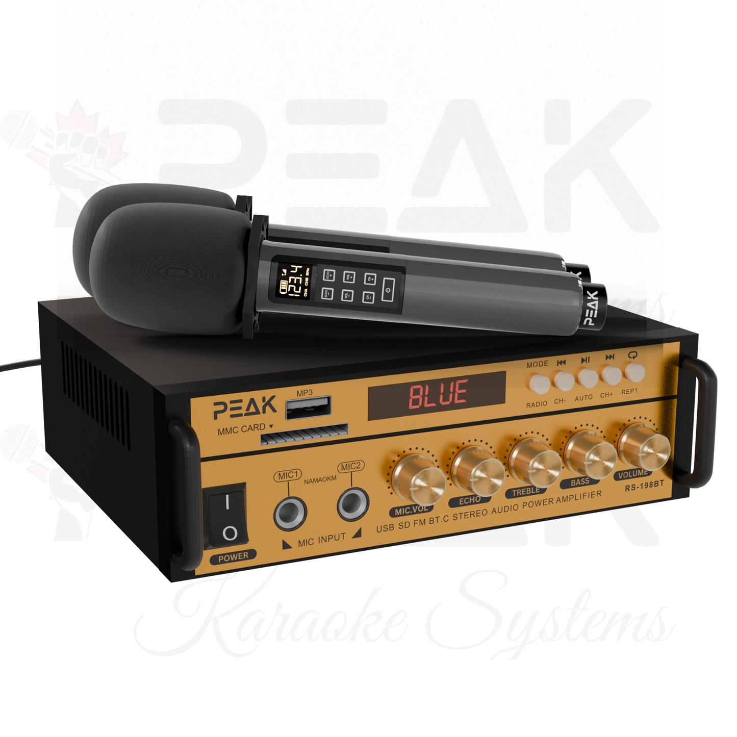 GOLD Pro STAGE I - Bluetooth Karaoke System -600W