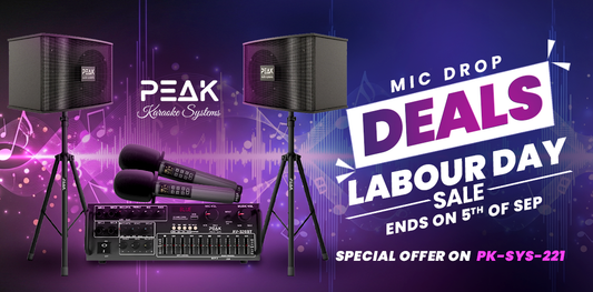 🎒 Back to School | Labour Day Sale – Sing Your Heart Out with Peak Karaoke! 🎤✨