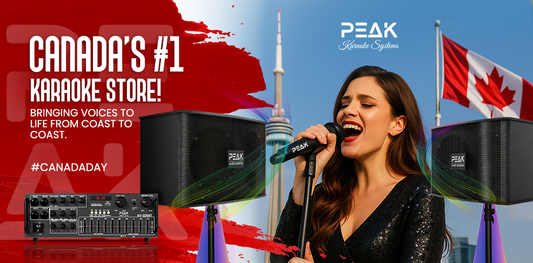 Create the Ultimate Karaoke Box with Peak Equipment 🎤✨
