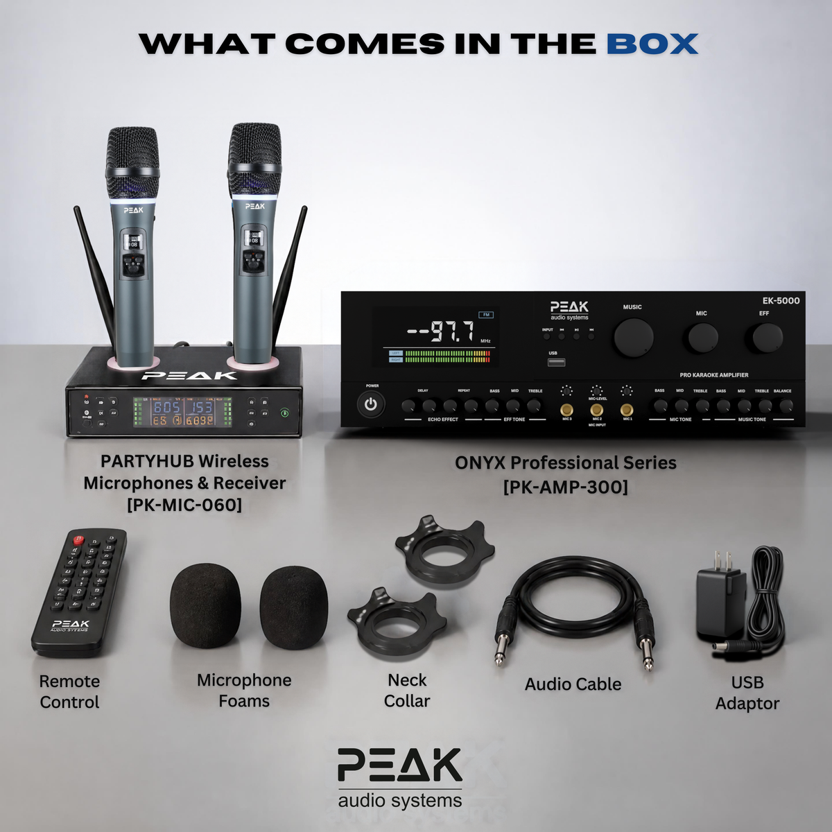 PEAK ONYX PartyHUB Karaoke System - 5000W