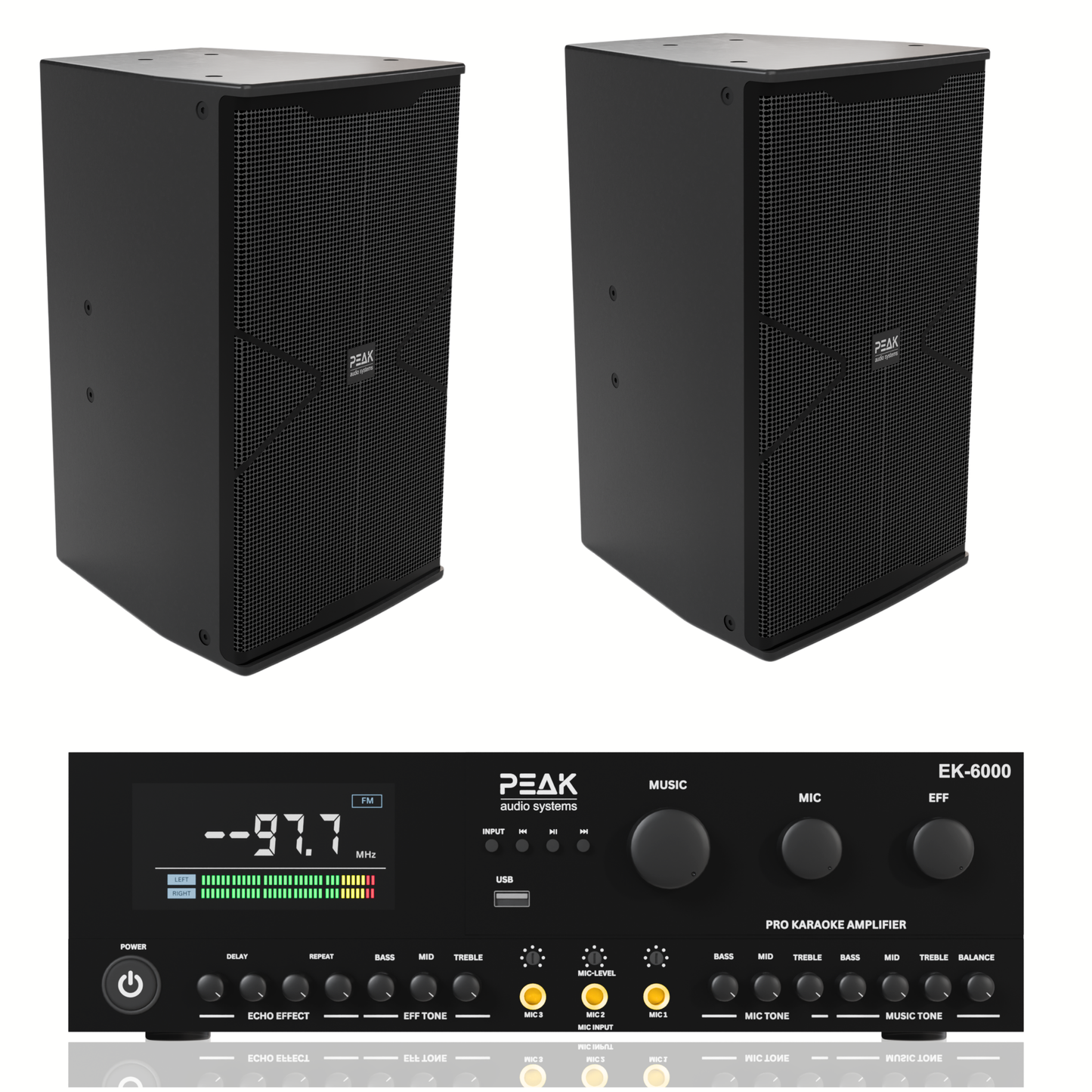 PEAK Karaoke SIGNATURE PRO+ MAMMOTH STAGE V System -6000W