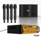 GOLD Pro+ Stage I - Bluetooth Karaoke System -600W