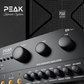 PEAK Karaoke SIGNATURE PRO+ MAMMOTH STAGE V System -6000W