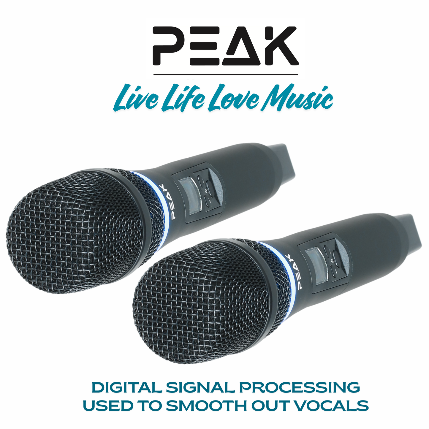 Reference Key-Changer Series | Stage V Mammoth Professional Karaoke System - 3000W