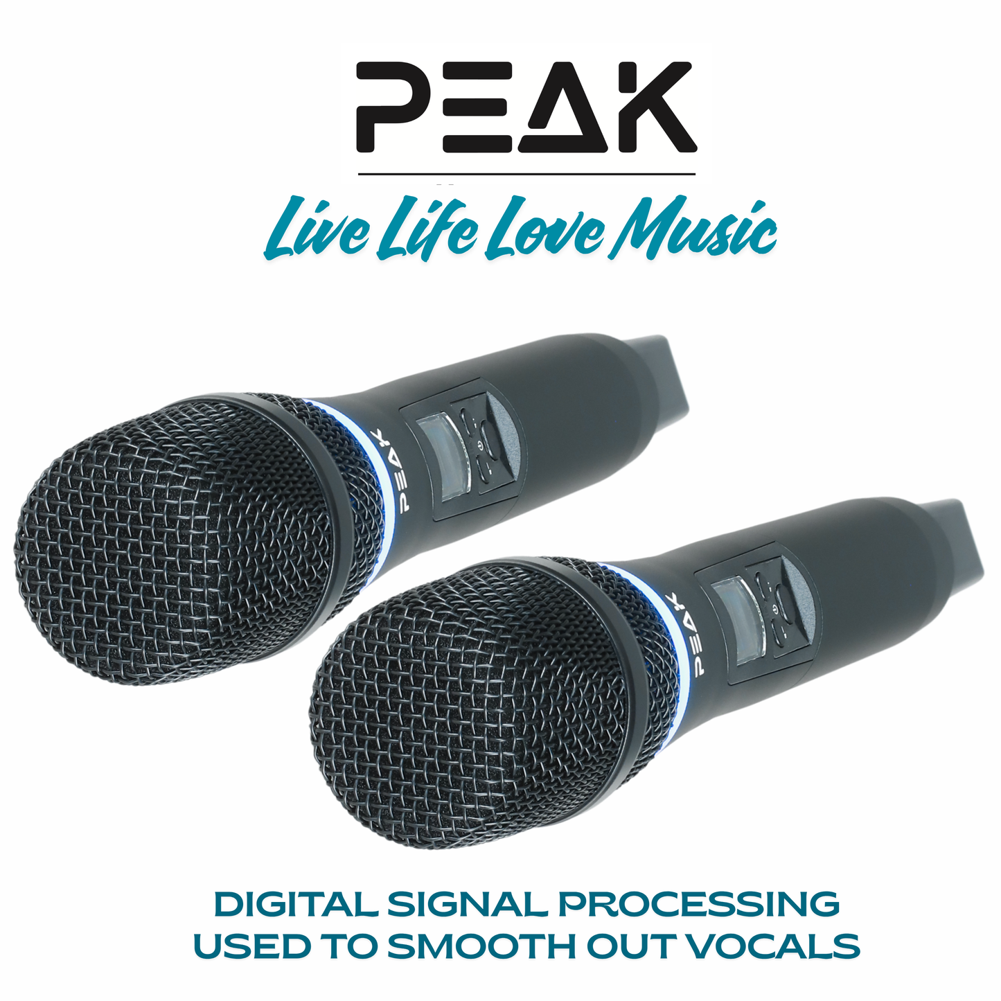 Reference Key-Changer Series | Stage V MAMMOTH PartyHUB+ Professional Karaoke System - 5000W