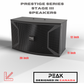 PEAK Karaoke PLATINUM PRO+ LONG RANGE PRESTIGE STAGE III System -4000W