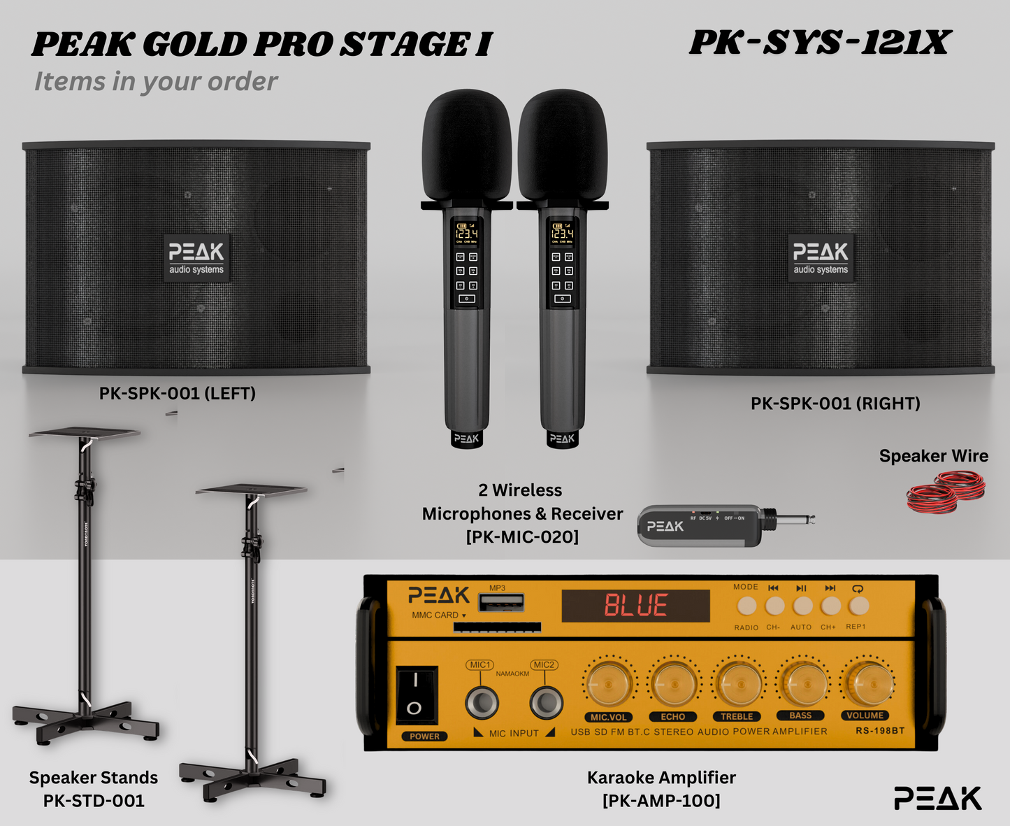 GOLD Pro Stage I - Bluetooth Karaoke System -600W