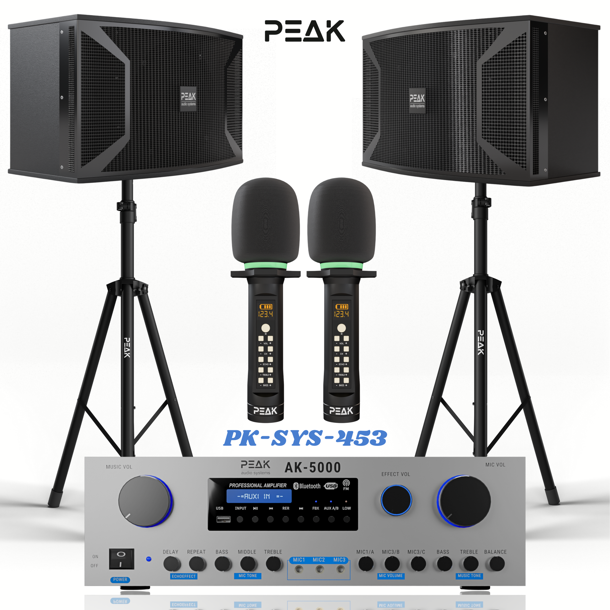 PEAK Karaoke PLATINUM PREMIUM PRESTIGE STAGE III System -4000W – Peak Karaoke