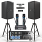 Reference Key-Changer Series | Stage V Mammoth Professional Karaoke System - 3000W