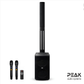 Professional All-In-One Infinity Speaker with 2 Wireless Microphones