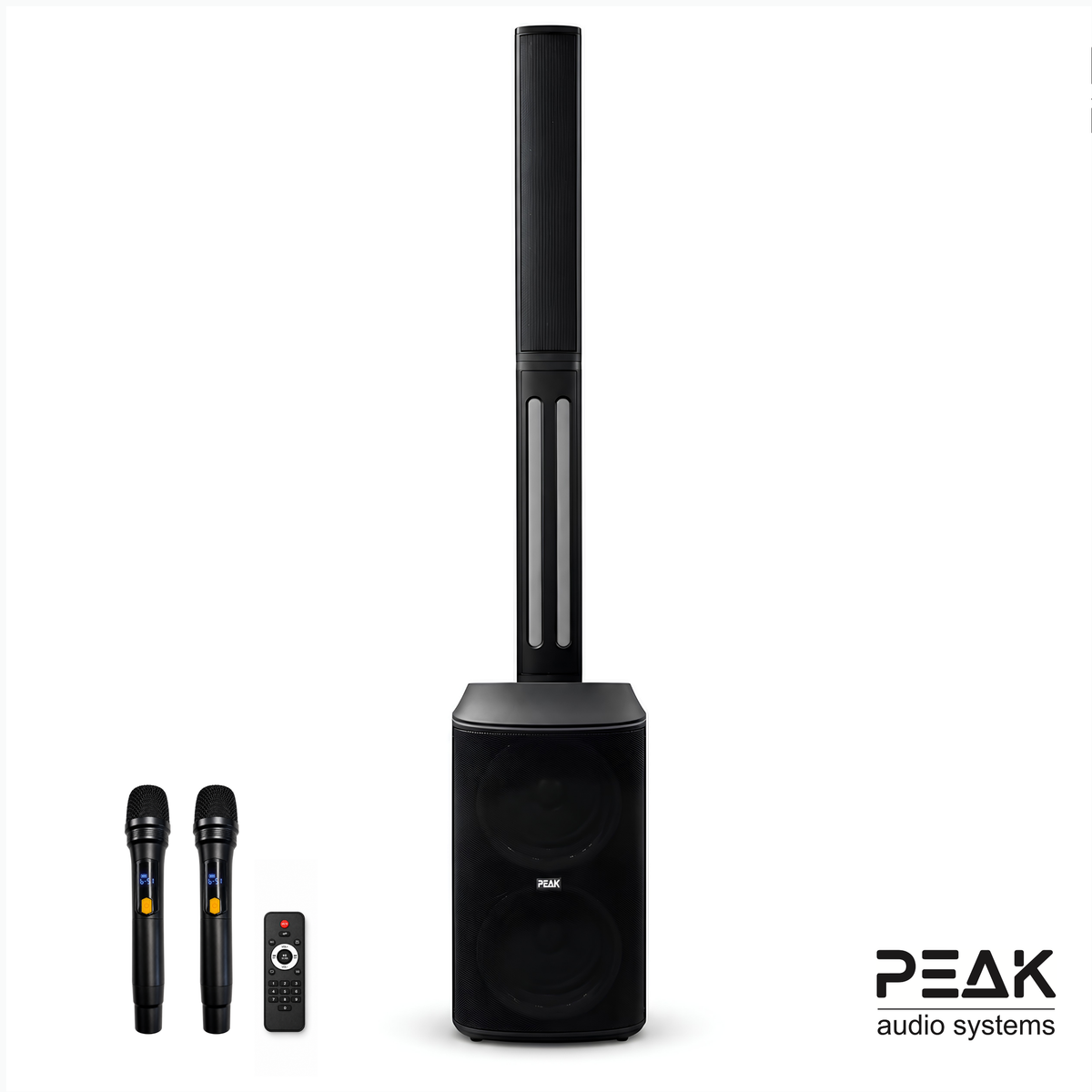 Professional All-In-One Infinity Speaker with 2 Wireless Microphones