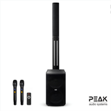 Professional All-In-One Infinity Speaker with 2 Wireless Microphones