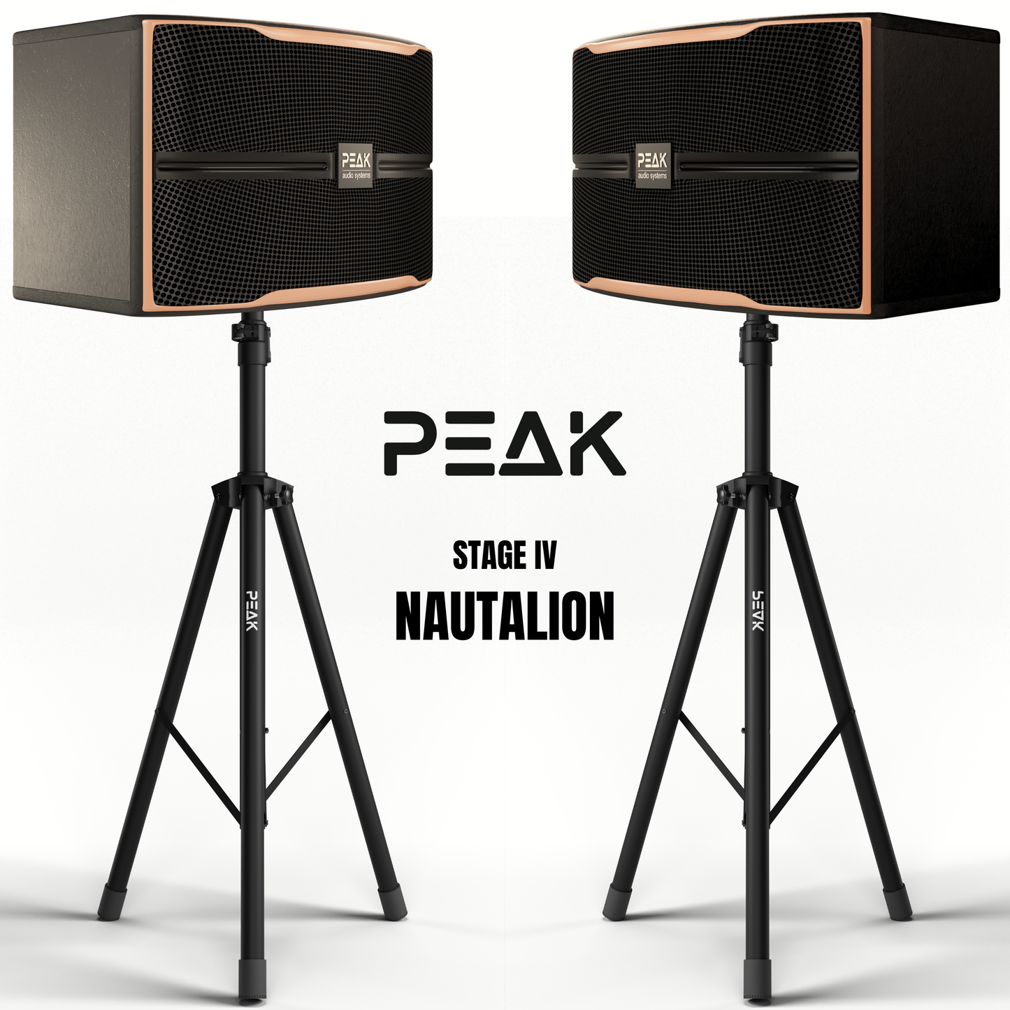 Reference Key-Changer Series | Stage IV Nautalion PartyHUB+ Professional Karaoke System - 3800W