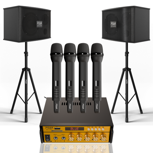 GOLD Pro+ Stage I - Bluetooth Karaoke System -600W