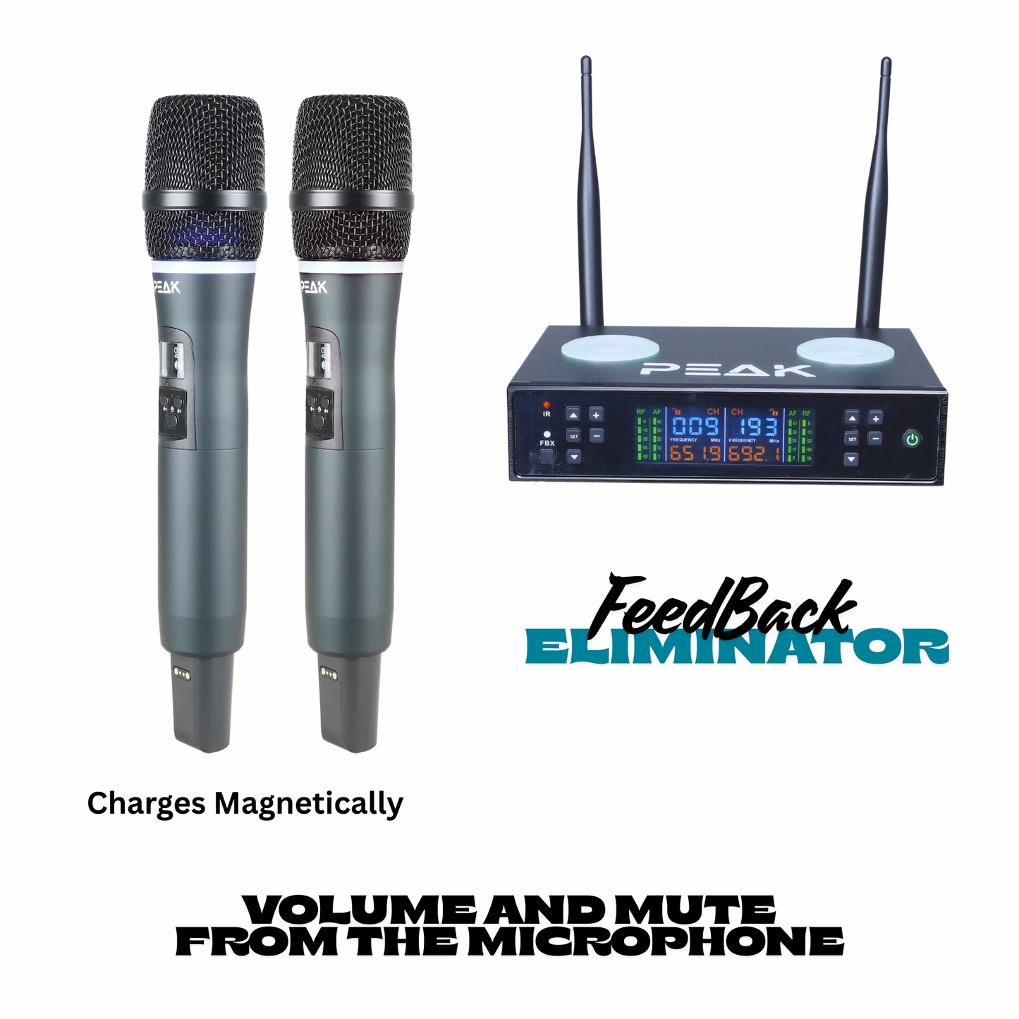 PartyHub Series Wireless Microphones – Professional 2-Mic Performance System with FBX Feedback Eliminator