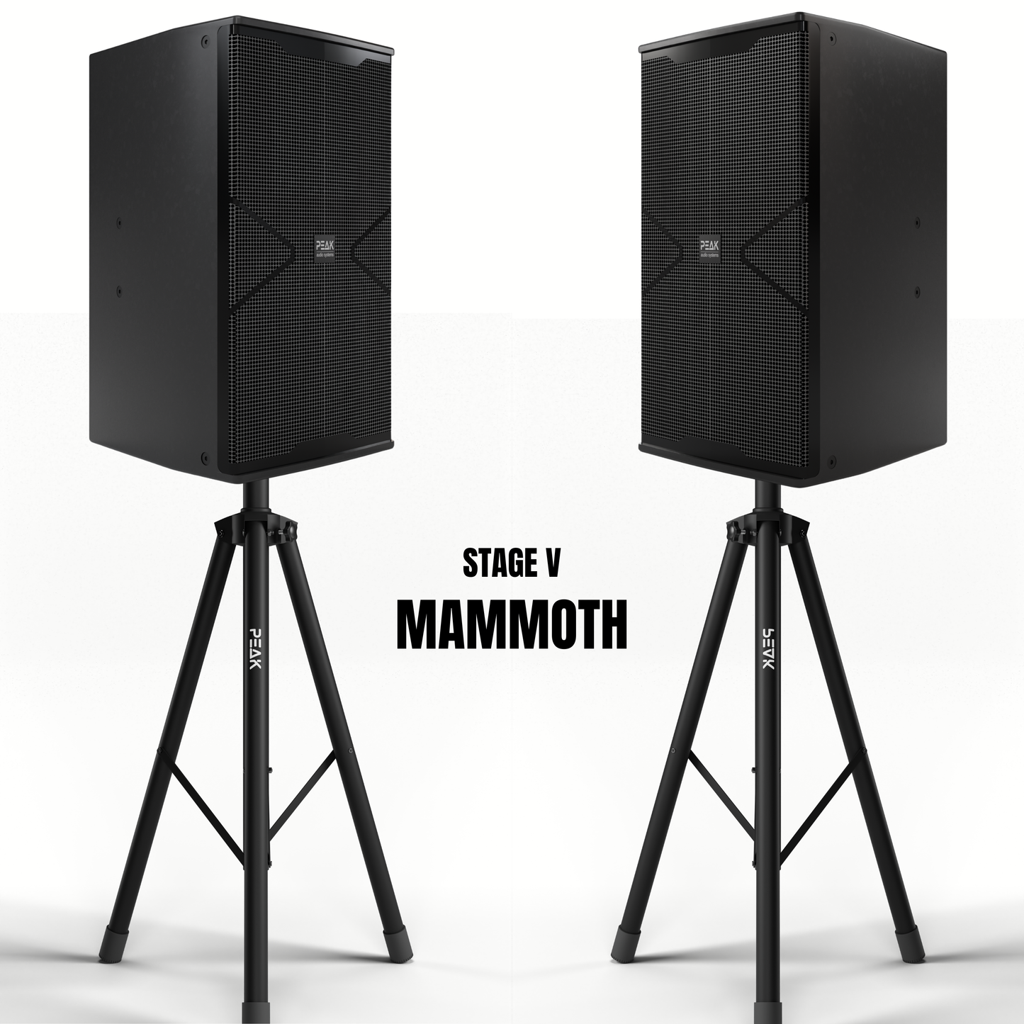 Reference Key-Changer Series | Stage V MAMMOTH PartyHUB+ Professional Karaoke System - 5000W