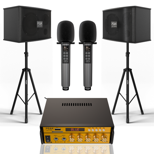GOLD Pro STAGE I - Bluetooth Karaoke System -600W