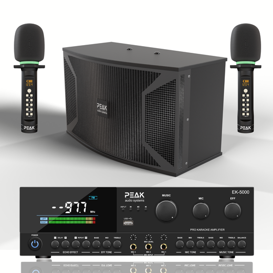 PEAK Karaoke ONYX PREMIUM PRESTIGE STAGE III System -4000W