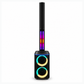 Professional All-In-One Infinity Speaker with 2 Wireless Microphones