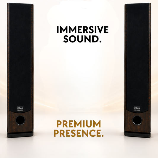 Karaoke Home Cinema Duo Forte