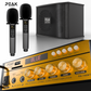 GOLD Pro Stage I - Bluetooth Karaoke System -600W (No Stands)