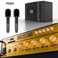 GOLD Pro STAGE I - Bluetooth Karaoke System -600W