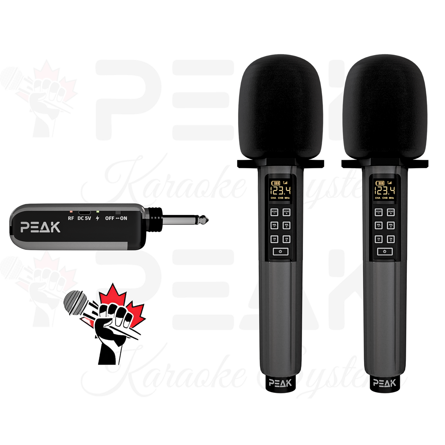 GOLD Pro Stage I - Bluetooth Karaoke System -600W (No Stands)