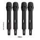 PEAK Karaoke SIGNATURE PRO+ MAMMOTH STAGE V System -6000W