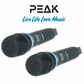 PartyHub Series Wireless Microphones – Professional 2-Mic Performance System with FBX Feedback Eliminator