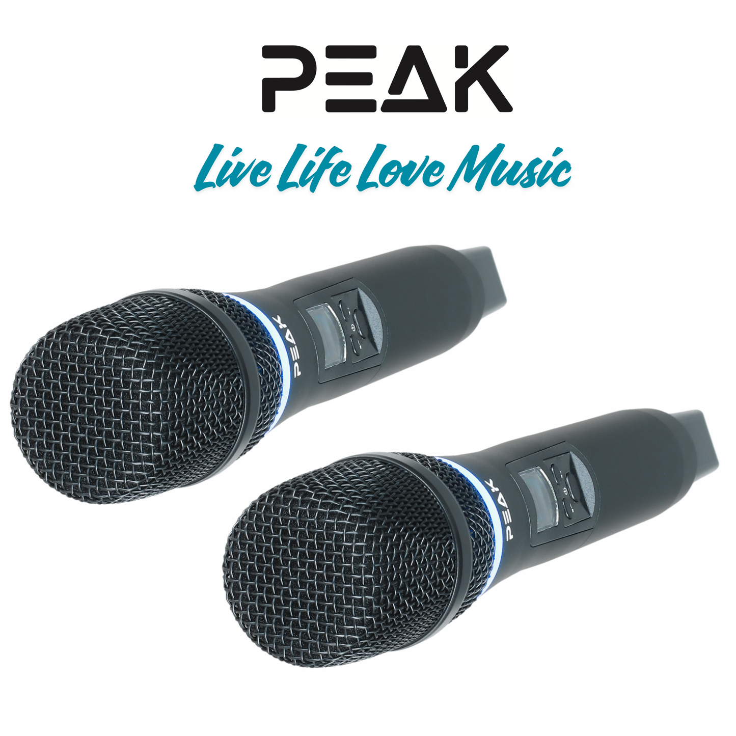 PartyHub Series Wireless Microphones – Professional 2-Mic Performance System with FBX Feedback Eliminator