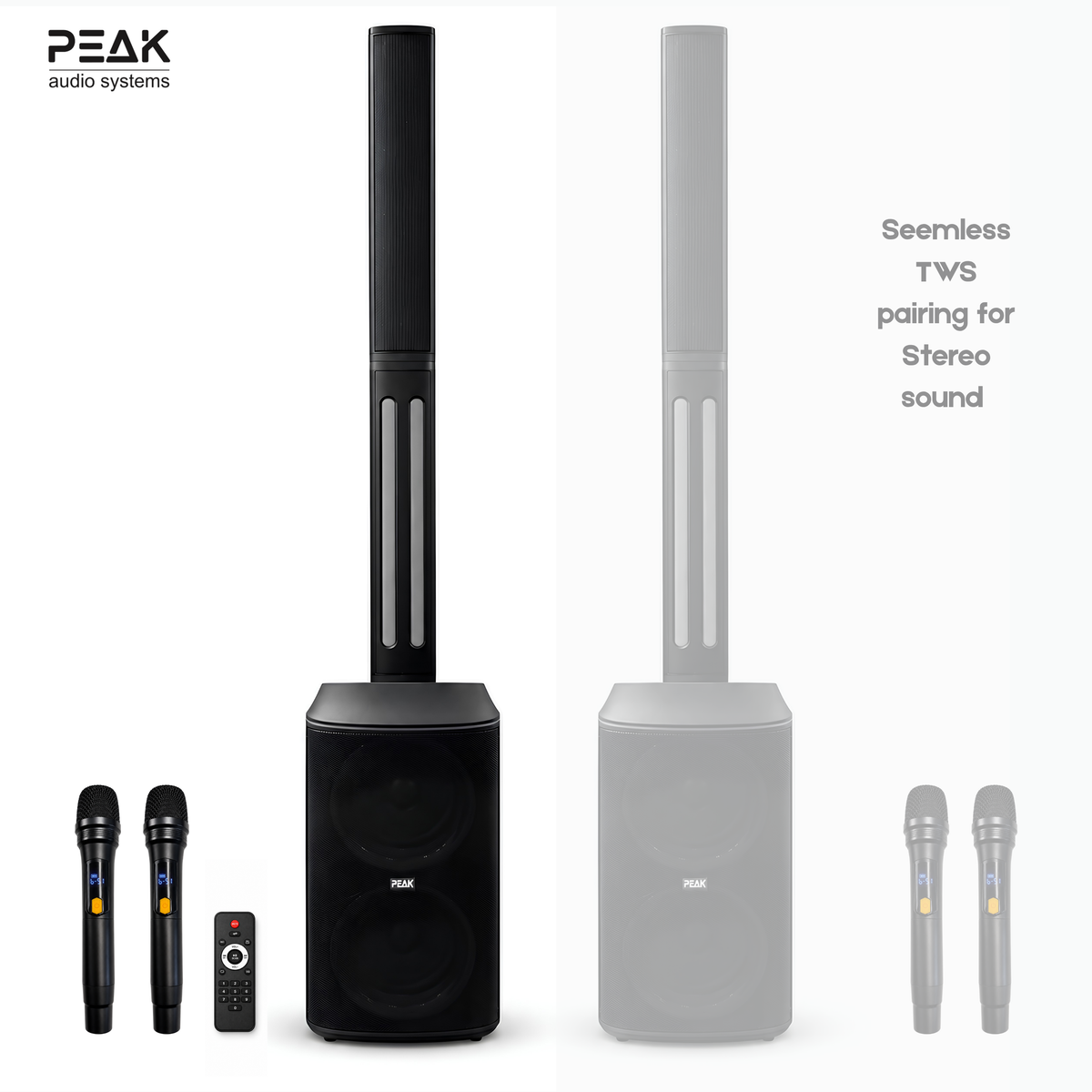Professional All-In-One Infinity Speaker with 2 Wireless Microphones