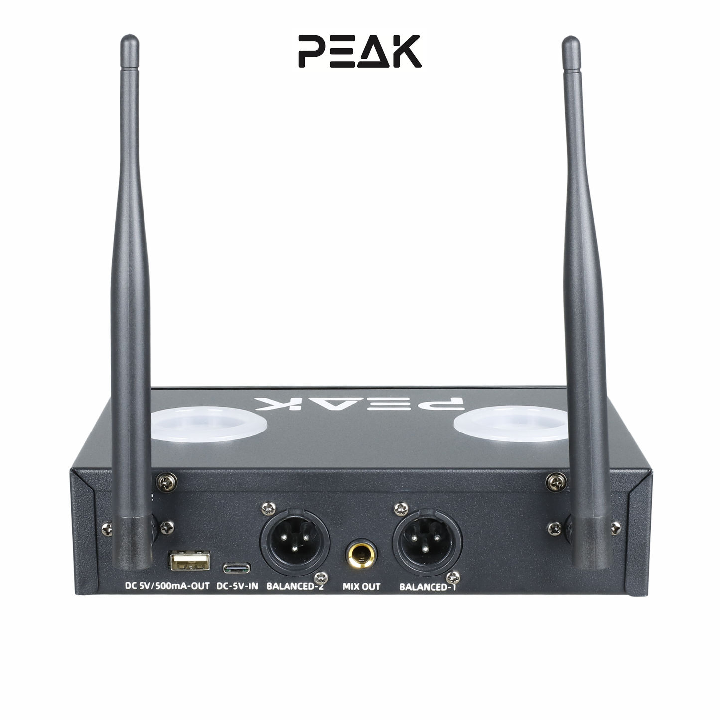 PartyHub Series Wireless Microphones – Professional 2-Mic Performance System with FBX Feedback Eliminator