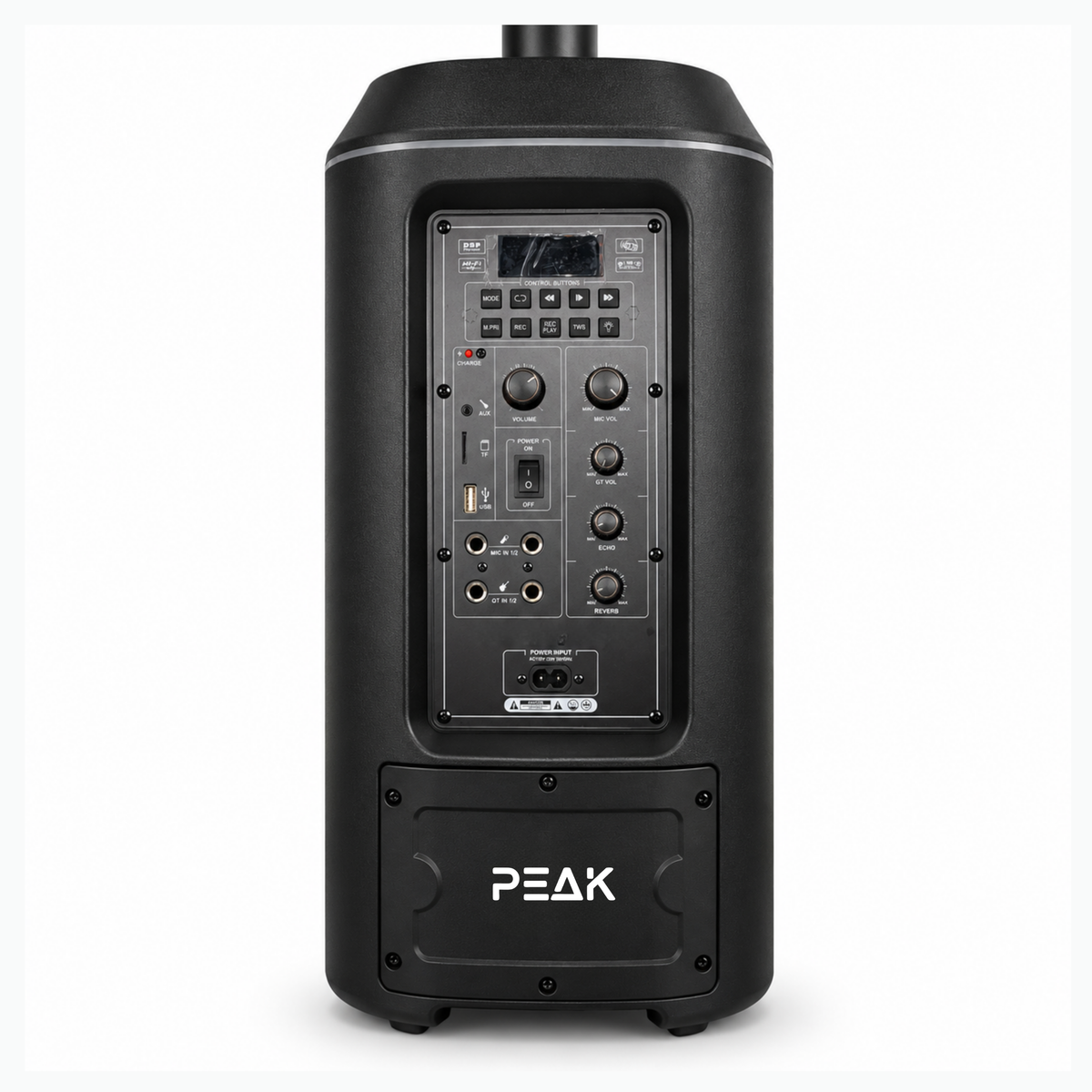 Professional All-In-One Infinity Speaker with 2 Wireless Microphones