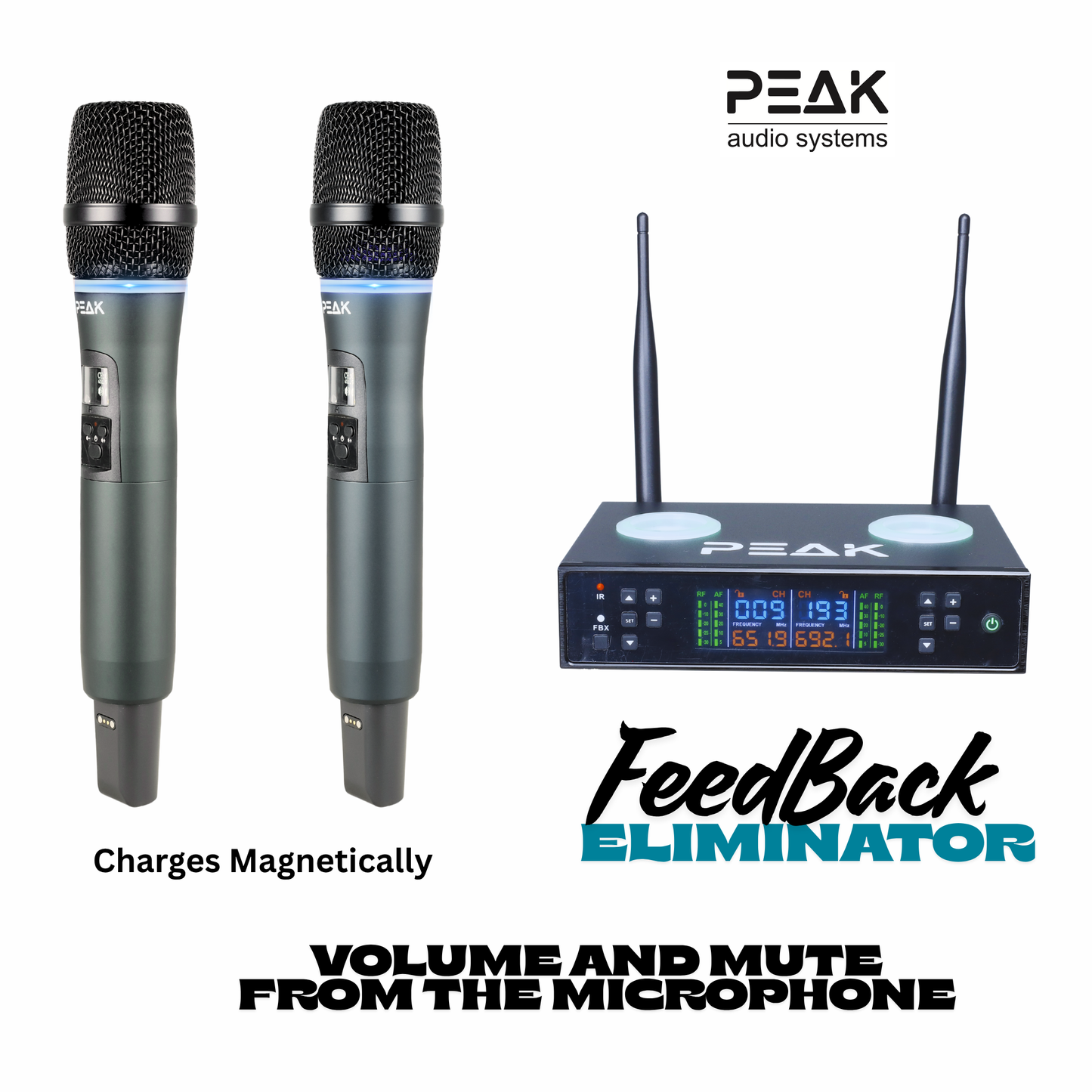 Reference Key-Changer Series | Stage V Mammoth Professional Karaoke System - 3000W