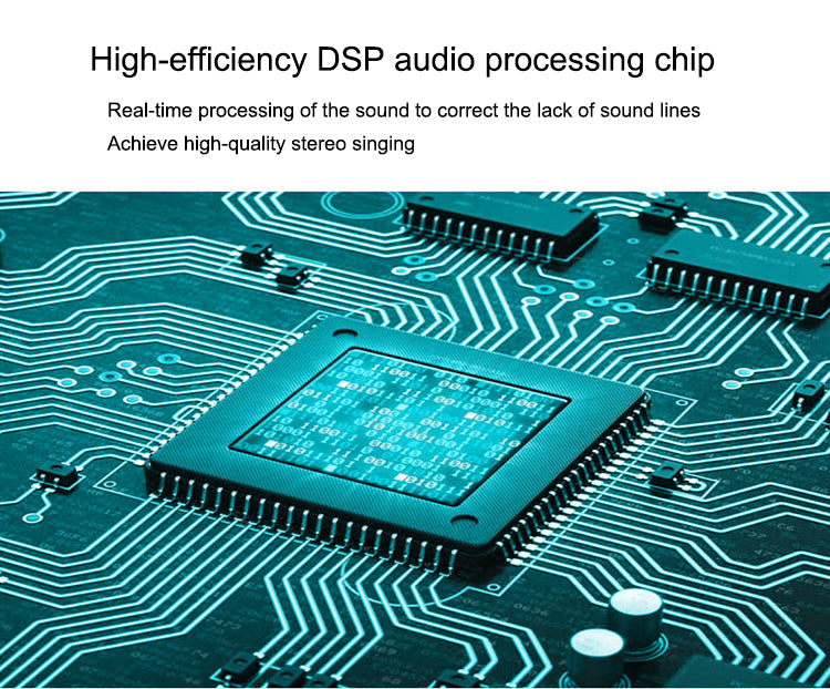 Wireless PREMIUM Microphone with Echo and Volume Control
