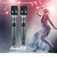 PartyHub Series Wireless Microphones – Professional 2-Mic Performance System with FBX Feedback Eliminator