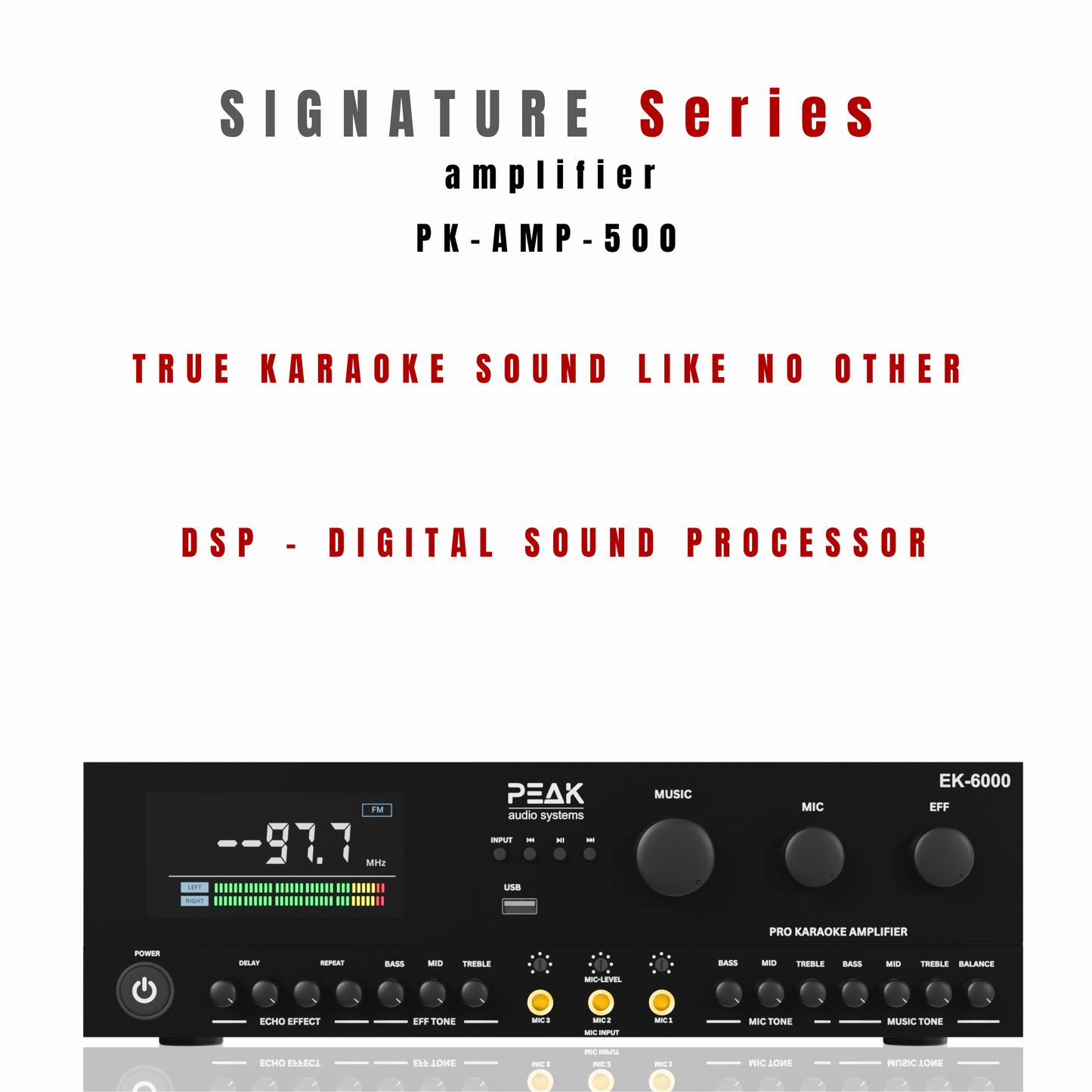 PEAK Karaoke SIGNATURE PRO+ MAMMOTH STAGE V System -6000W